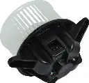 Screenshot 2026-06-01 at 11.48.29 AM.webp