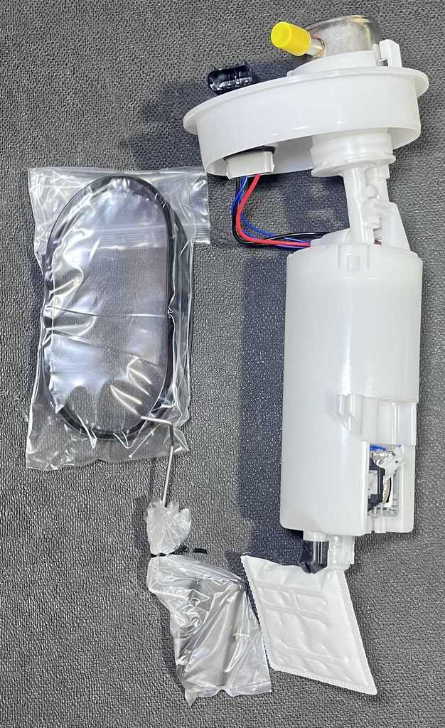 IMG_4982.webp