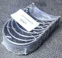[AE-08-4615PSTD] Conchas de Biela / Standard
