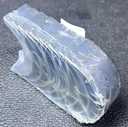 [AE-08-4615PSTD] Conchas de Biela / Standard