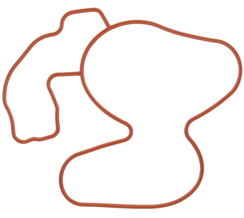 Empacadura de Bomba de Agua