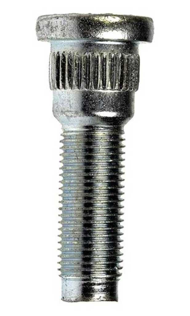 Espárrago de Mozo