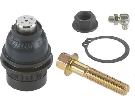 Muñón / Delantero /  Inferior