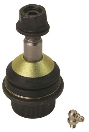 Muñón / Delantero /  Inferior