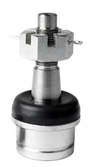 Muñón / Delantero /  Inferior