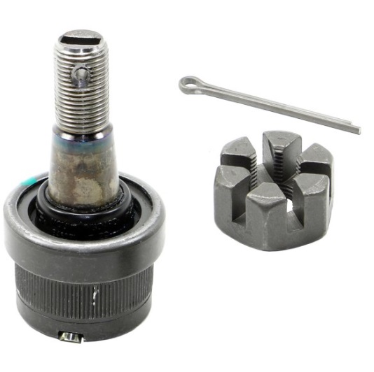 Muñón / Delantero /  Inferior