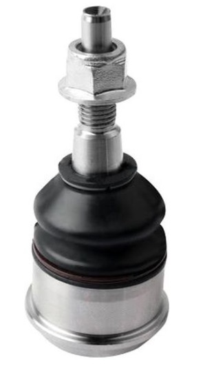 Muñón / Delantero / Superior