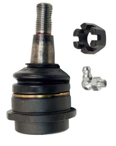 Muñón / Delantero / Superior