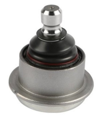 Muñón /  Trasero / Superior