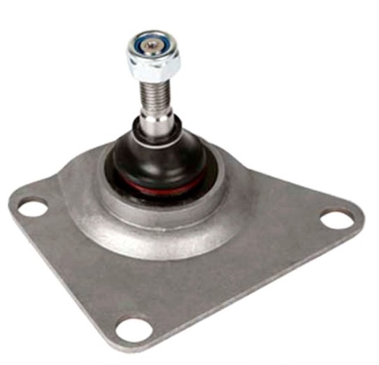 Muñón /  Trasero / Superior