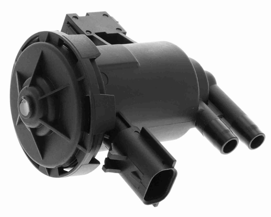 Válvula de Purga de Gases