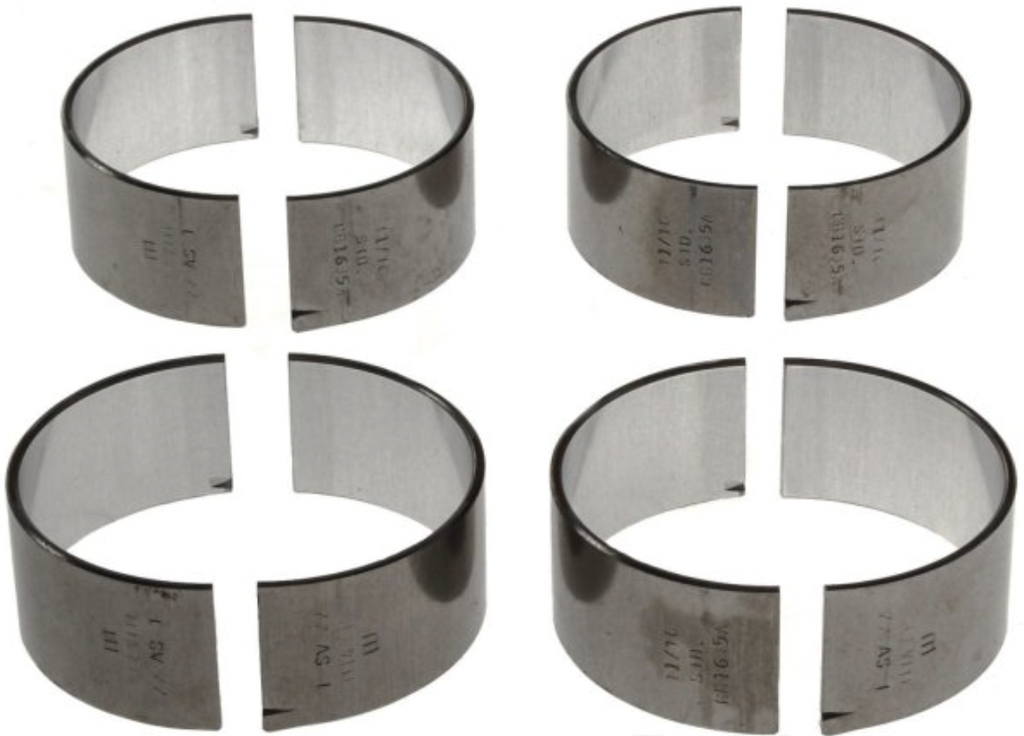 Conchas de Biela / Standard