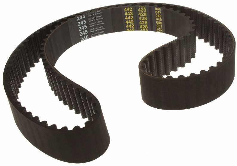 Correa de Tiempo